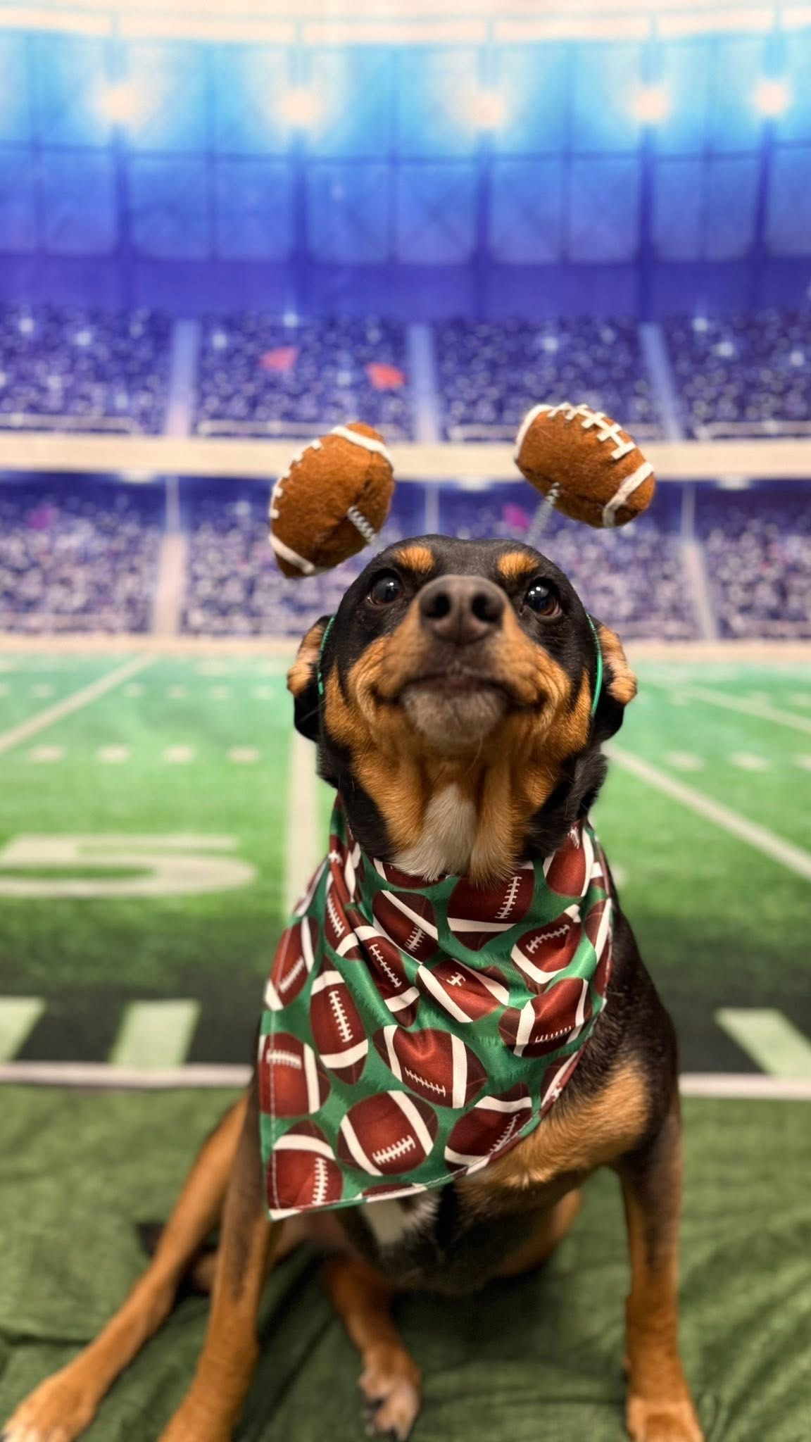 Kirby wearing a headband with two felt footballs on springs and a football-print bandana, in front of a printed stadium backdrop.