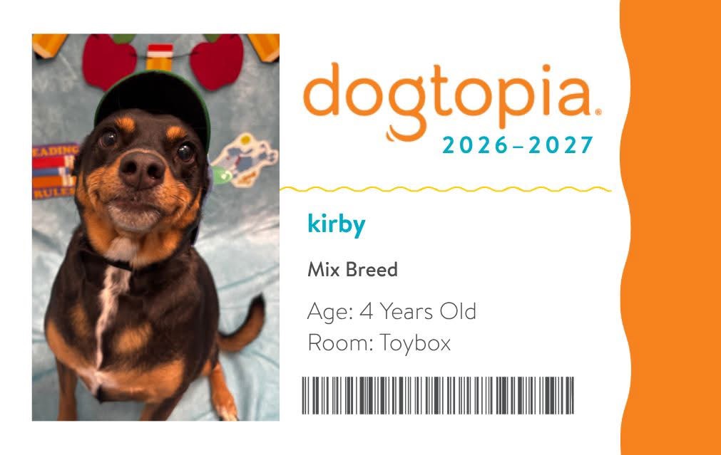 Kirby's Dogtopia ID card for 2026 to 2027: a photo of her in a baseball cap against a back-to-school backdrop, beside her name, Mix Breed, Age 4 Years Old, Room Toybox, and a barcode.