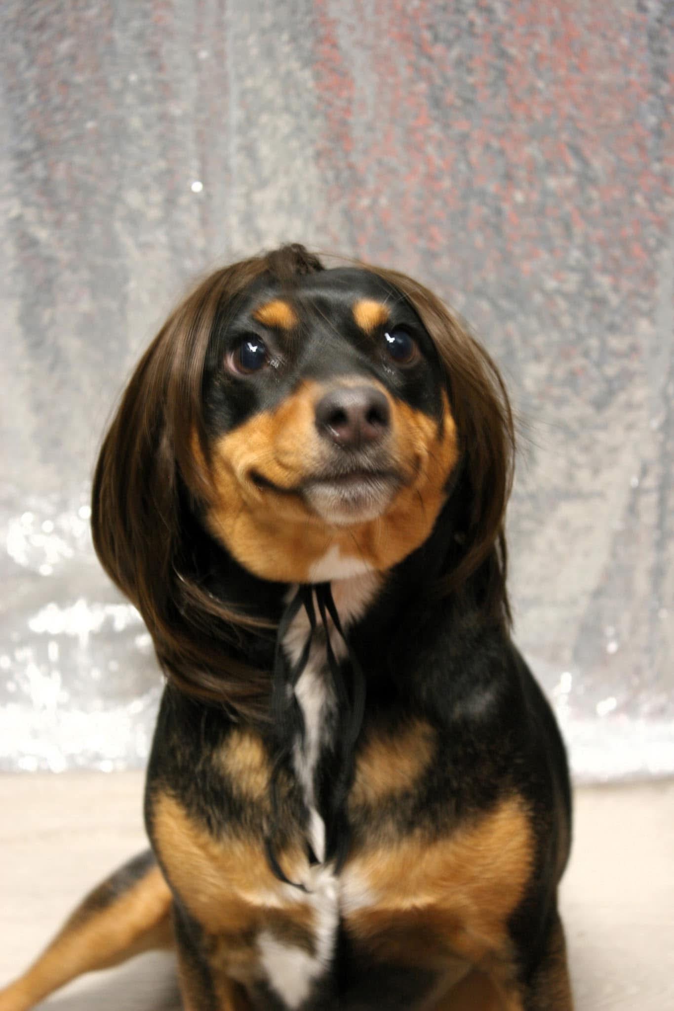A dramatic portrait of Kirby wearing a brown wig against silver sequins.